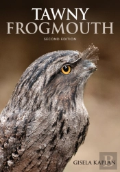 Tawny Frogmouth