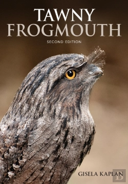 Bertrand.pt - Tawny Frogmouth