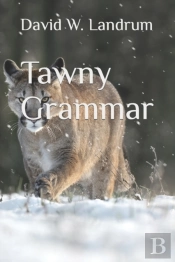 Tawny Grammar