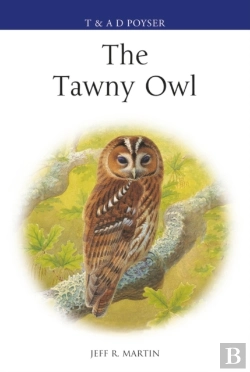 Bertrand.pt - Tawny Owl