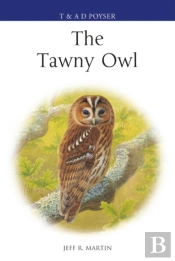 Tawny Owl