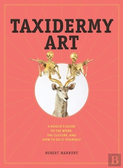 Bertrand.pt - Taxidermy Art