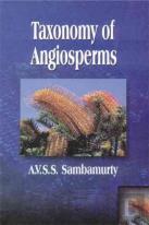 Taxonomy Of Angiosperms