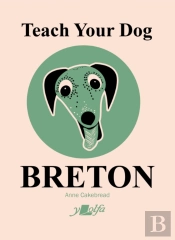 Teach Your Dog Breton