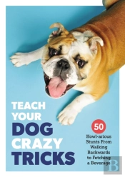 Teach Your Dog Crazy Tricks
