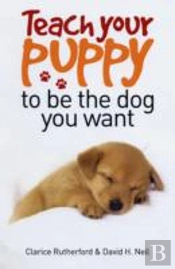 Teach Your Puppy To Be The Dog You Want