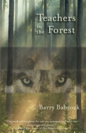 Teachers In The Forest