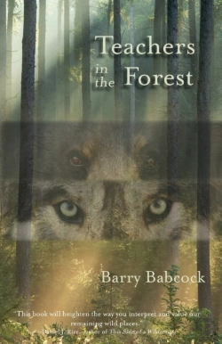 Bertrand.pt - Teachers In The Forest