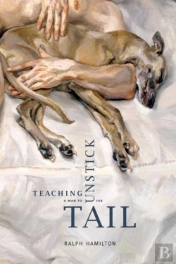 Bertrand.pt - Teaching A Man To Unstick His Tail