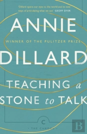 Teaching A Stone To Talk