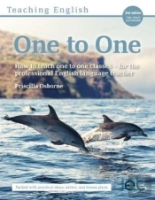 Teaching English One To One