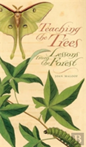Teaching The Trees