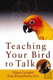 Teaching Your Bird To Talk