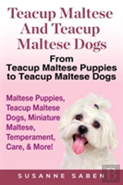 Teacup Maltese And Teacup Maltese Dogs