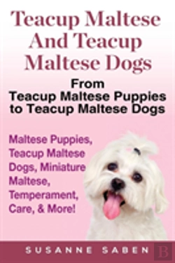 Bertrand.pt - Teacup Maltese And Teacup Maltese Dogs