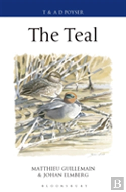 Bertrand.pt - Teal