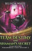 Team Destiny And Shaman'S Secret