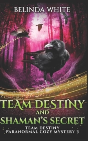 Team Destiny And Shaman'S Secret