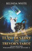 Team Destiny And Trevor'S Tarot