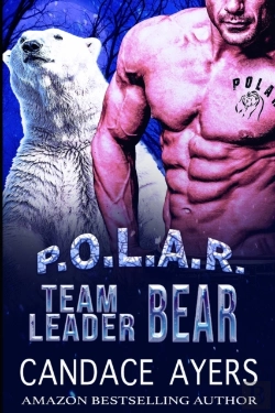 Bertrand.pt - Team Leader Bear