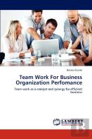 Team Work For Business Organization Perfomance