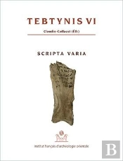 Tebtynis Tome 6 ; Scripta Varia