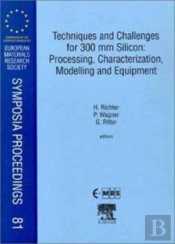 Techniques And Challenges For 300 Mm Silicon: Processing, Characterization, Modelling And Equipment