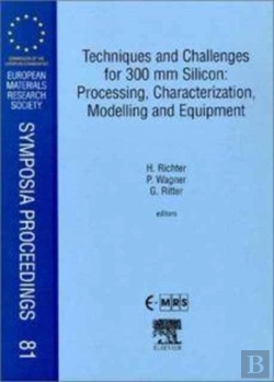 Bertrand.pt - Techniques And Challenges For 300 Mm Silicon: Processing, Characterization, Modelling And Equipment