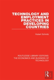 Technology And Employment Practices In Developing Countries