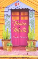 Técnica Mixta