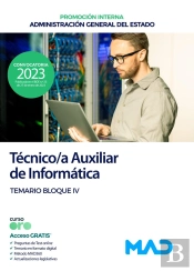 Tecnico Auxiliar Informatica Administracion General