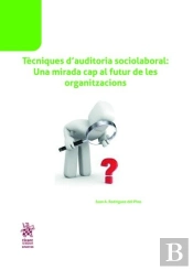 Tècniques D´Auditoria Sociolaboral: Una Mirada Cap Al Futur De Les Organitzacions