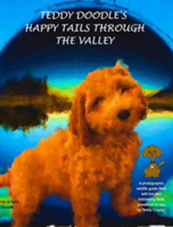 Bertrand.pt - Teddy Doodle'S Happy Tails Through The Valley