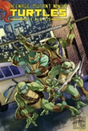 Teenage Mutant Ninja Turtles Heroes Collection