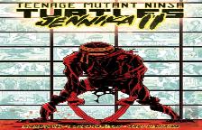 Teenage Mutant Ninja Turtles: Jennika Ii