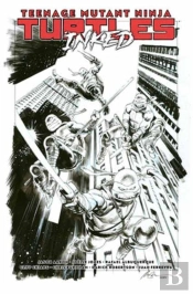Teenage Mutant Ninja Turtles, Vol. 1: Return To New York