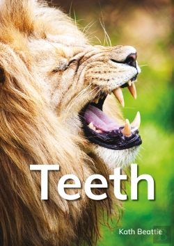 Bertrand.pt - Teeth