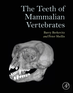 Bertrand.pt - Teeth Of Mammalian Vertebrates