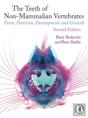 Teeth Of Non-Mammalian Vertebrates