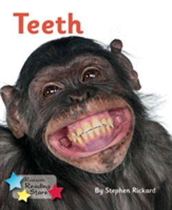 Bertrand.pt - Teeth