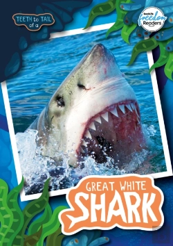 Bertrand.pt - Teeth To Tail Of A Great White Shark