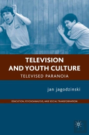 Television And Youth Culture