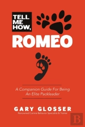 Tell Me How, Romeo