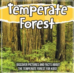 Bertrand.pt - Temperate Forest