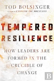 Tempered Resilience Â€“ How Leaders Are Formed In The Crucible Of Change