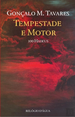 Bertrand.pt - Tempestade e Motor