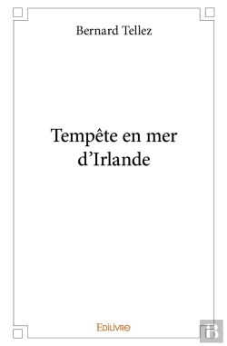 Bertrand.pt - Tempête En Mer D'Irlande