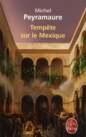 Tempete Sur Le Mexique