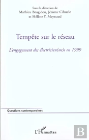Tempête Sur Le Réseau : L'Engagement Des Électricien(Ne)S En 1999