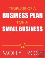 Template Of A Business Plan For A Small Business